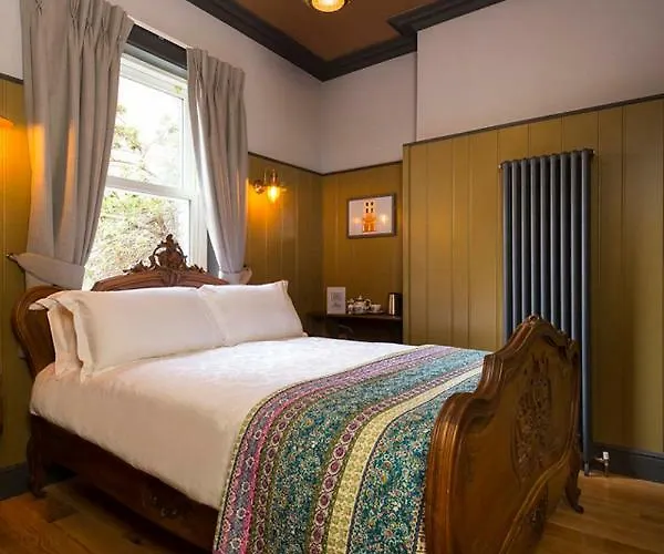 Mcgettigan's Townhouse - Olives & Figs Bistro イン